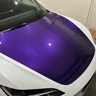 Tesla Model3 Ravoony Violent Lavender PPF Autocolantes de Carro Personalizados